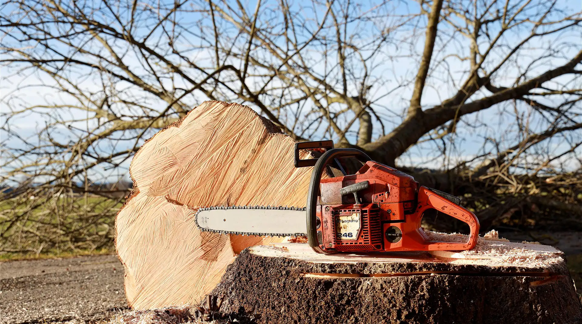 Photo de bois et tronconneuse
